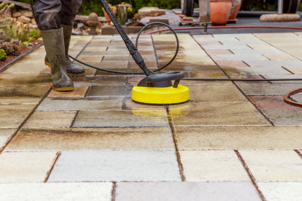 Best Warehouse Cleaning  in Trenton, IL